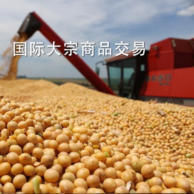 解读国际贸易风云”，助力企业乘风破浪