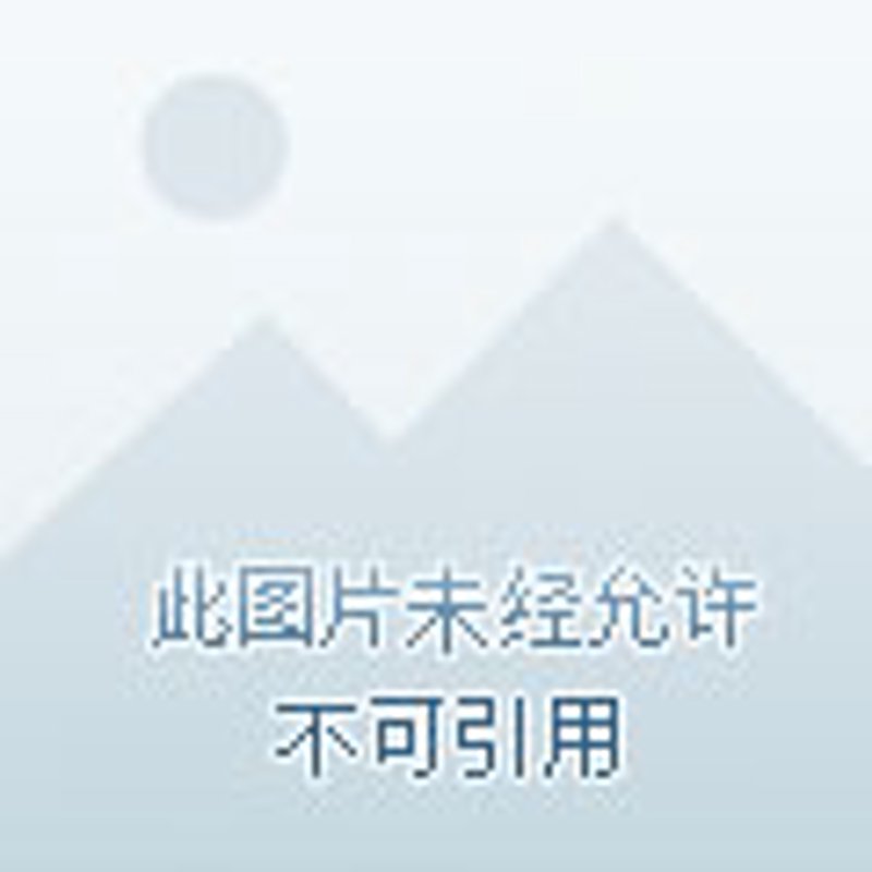 国际贸易风向标：洞察全球市场动态